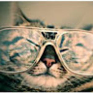 Meet your Posher, Madeline